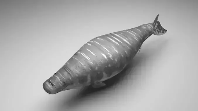 Mosasaurus 3D model