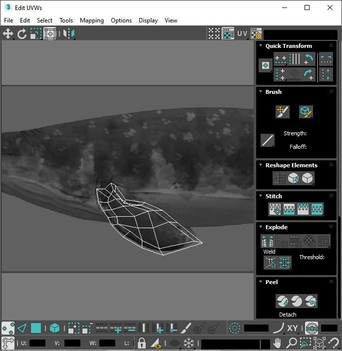 Mosasaurus 3D model_36