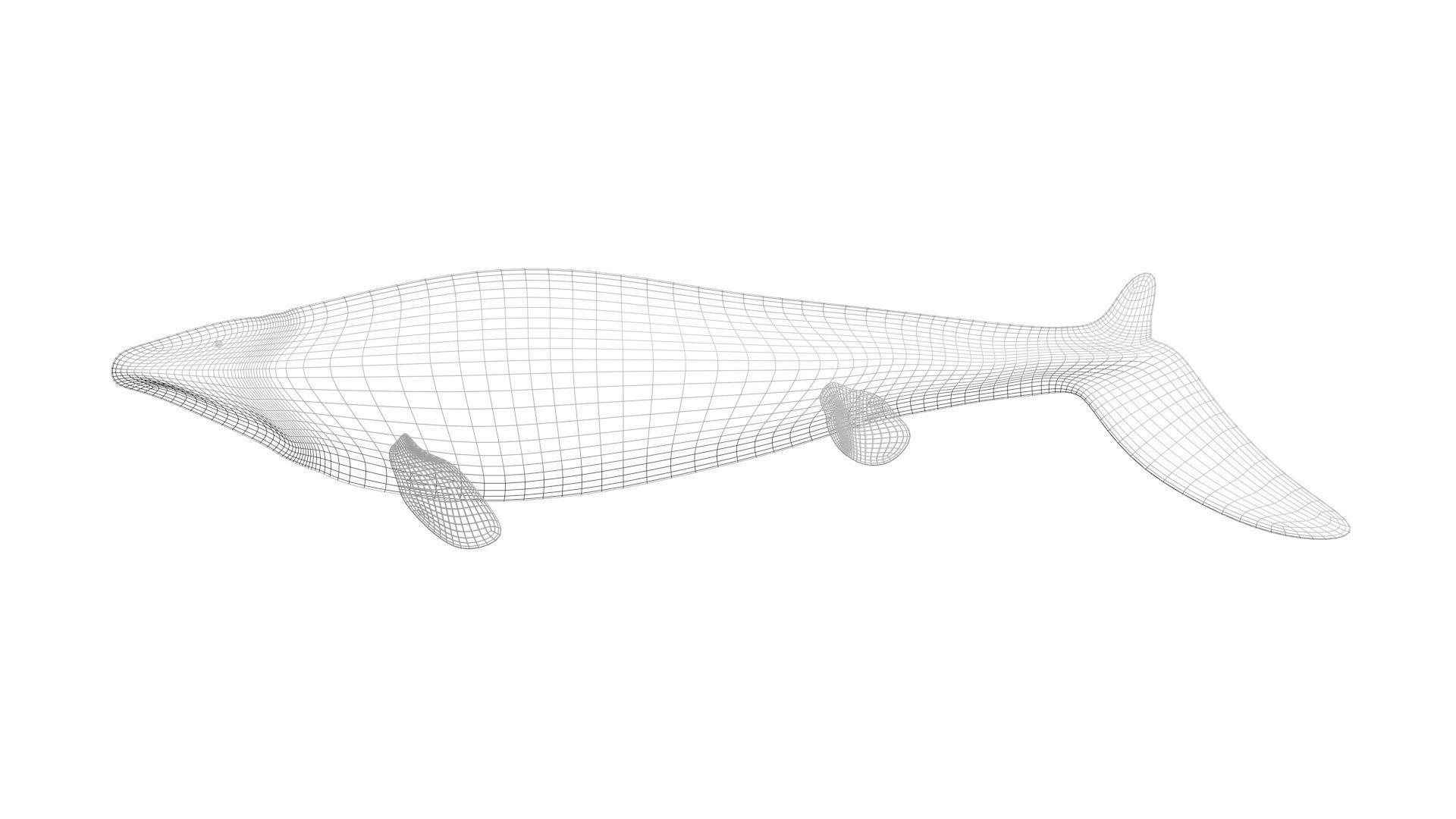 Mosasaurus 3D model_29