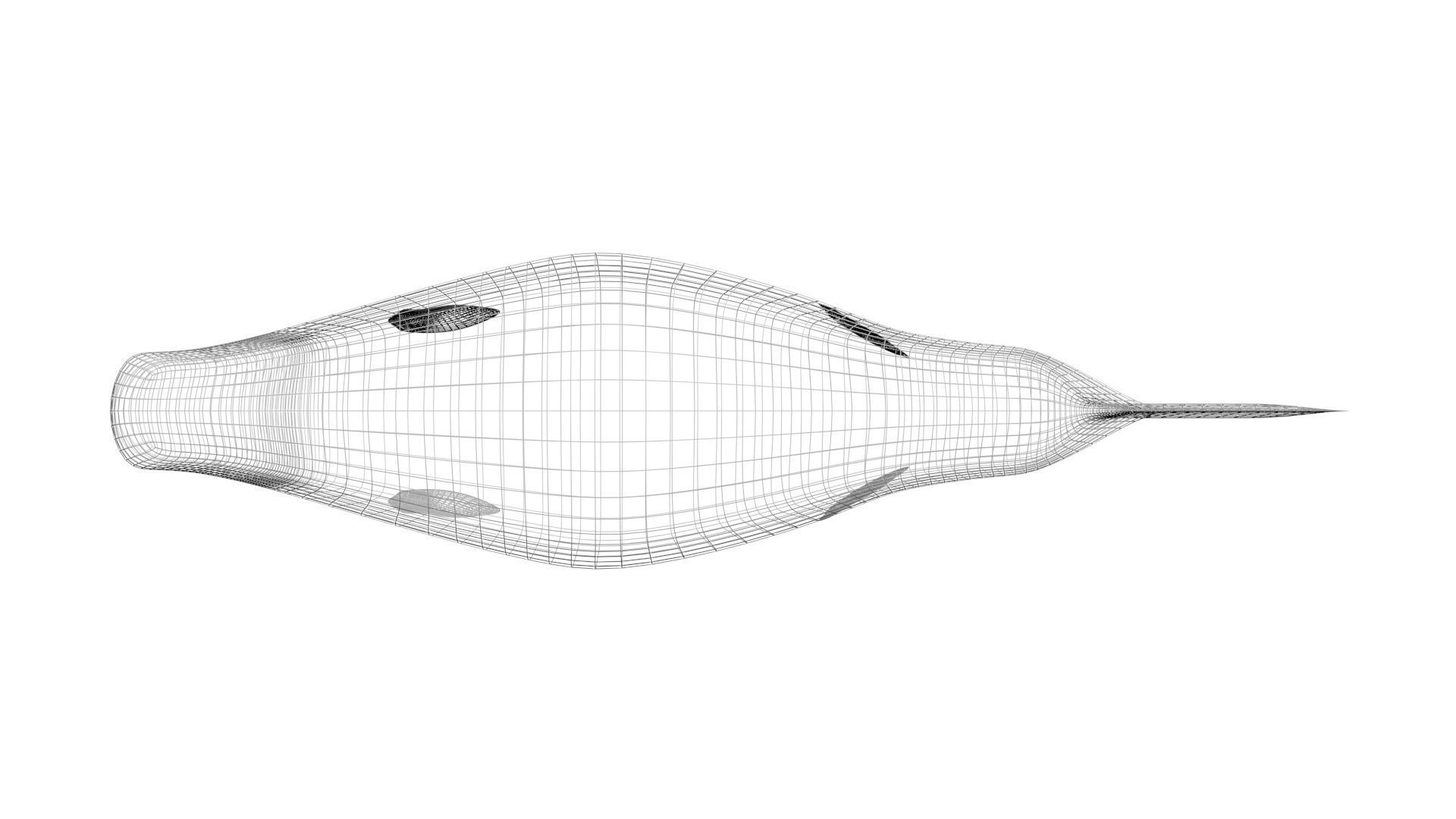 Mosasaurus 3D model_30