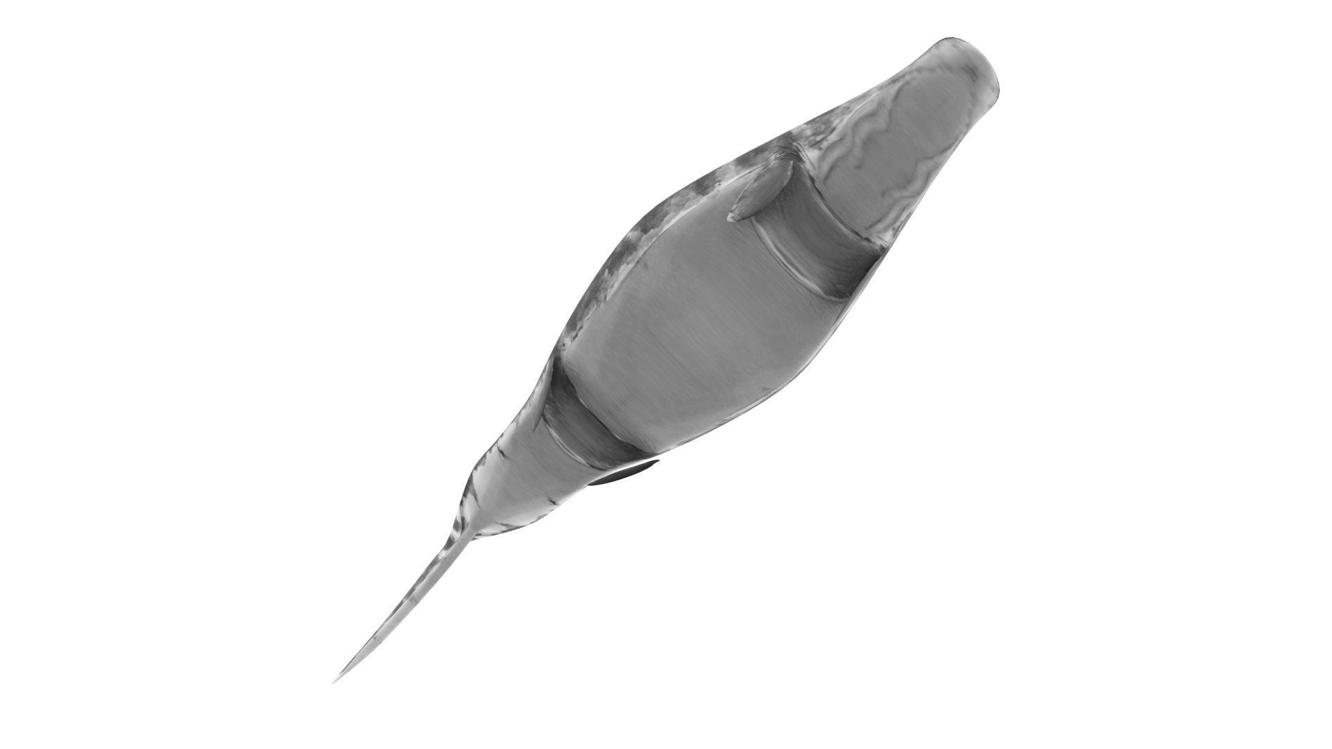 Mosasaurus 3D model_19