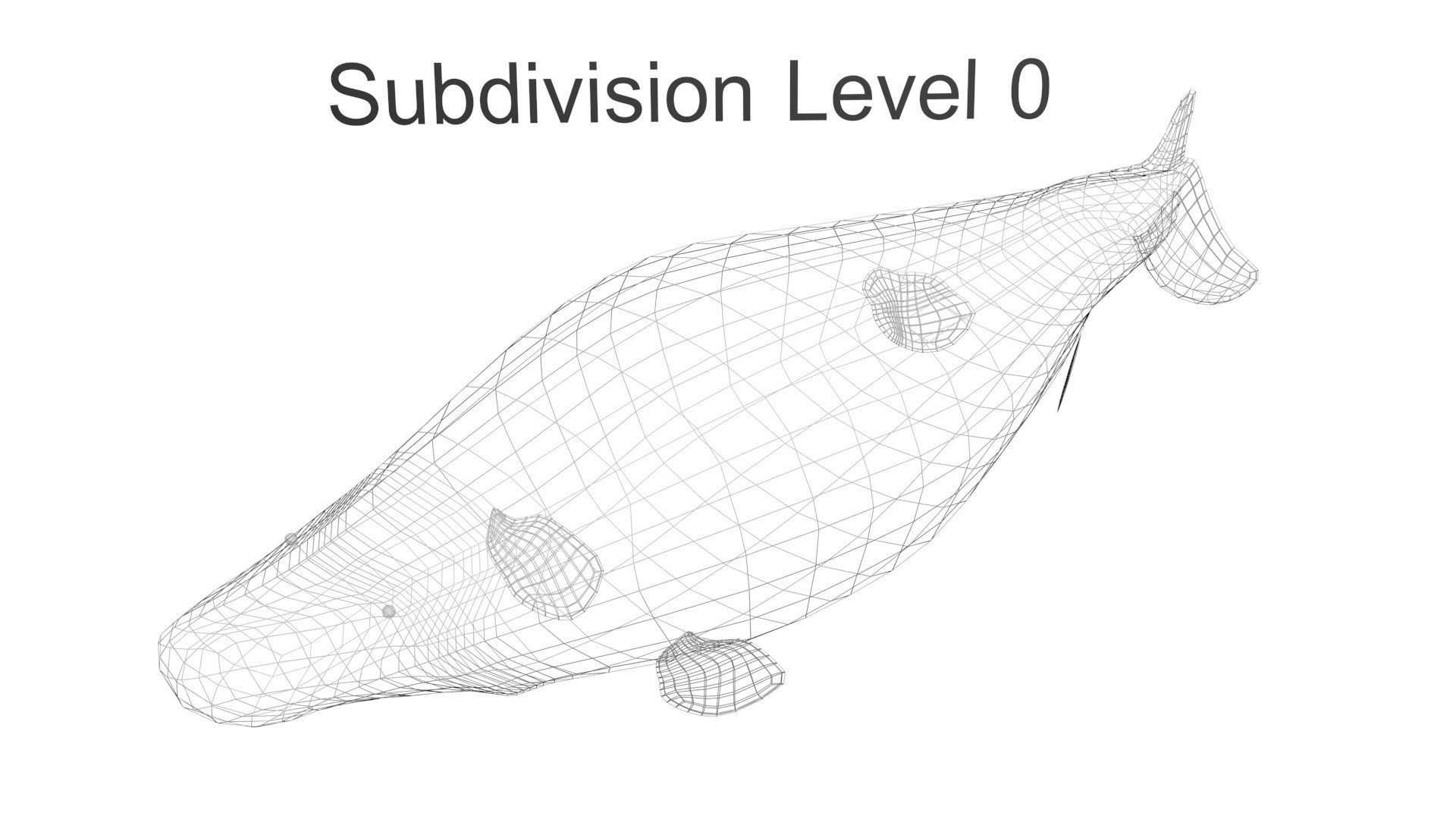 Mosasaurus 3D model_32
