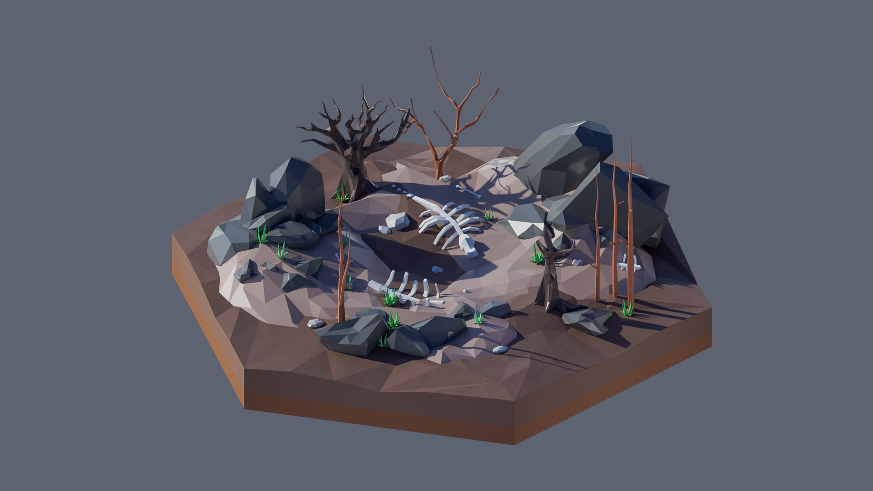 Worlds Hexagon Low-poly 3D model_52
