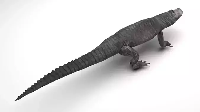 Crocodile 3D model