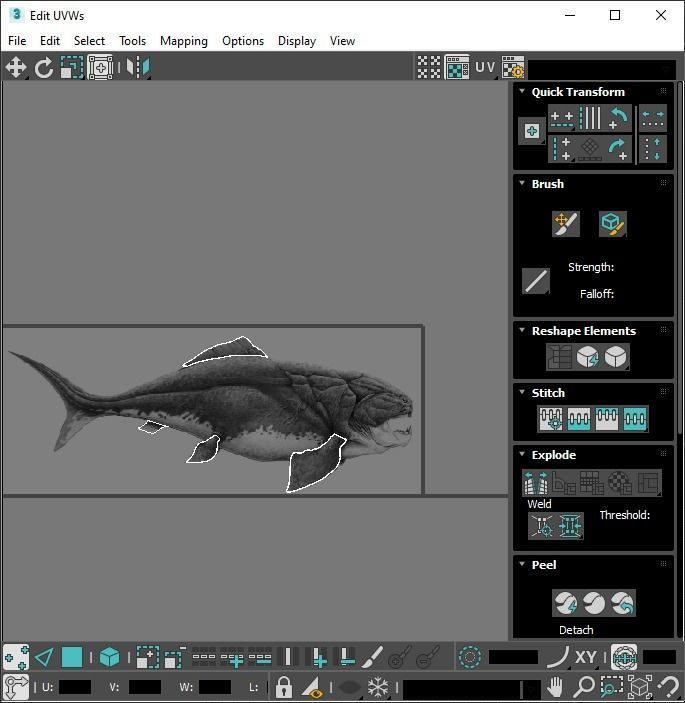 Dunkleosteus 3D model_22