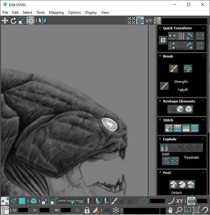 Dunkleosteus 3D model_23