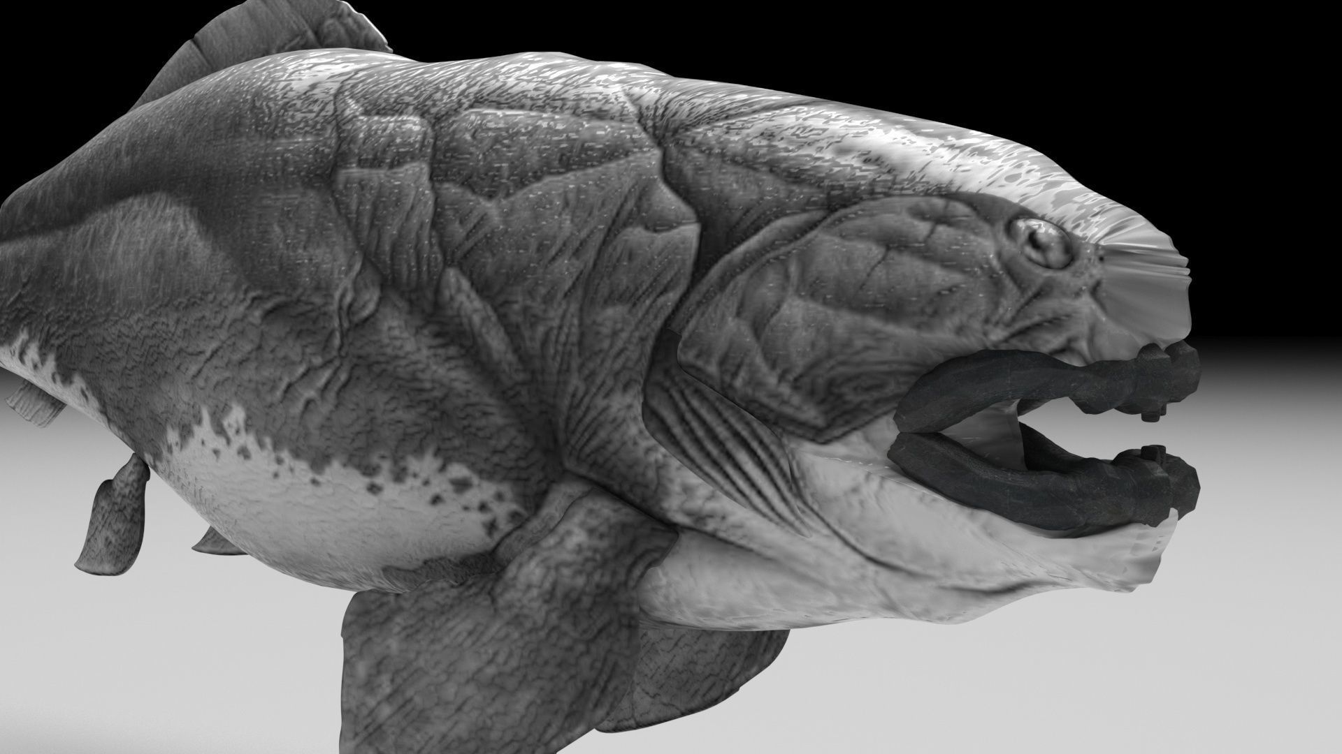 Dunkleosteus 3D model_5