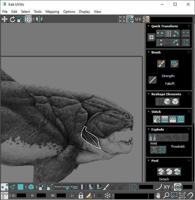 Dunkleosteus 3D model_25
