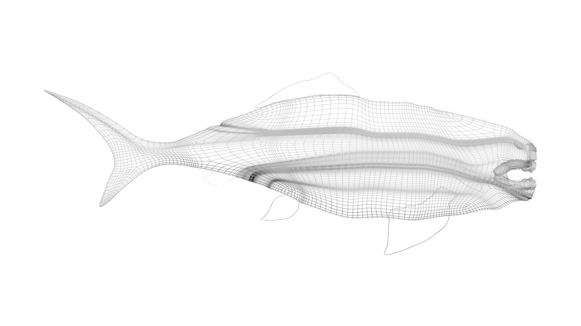 Dunkleosteus 3D model_20