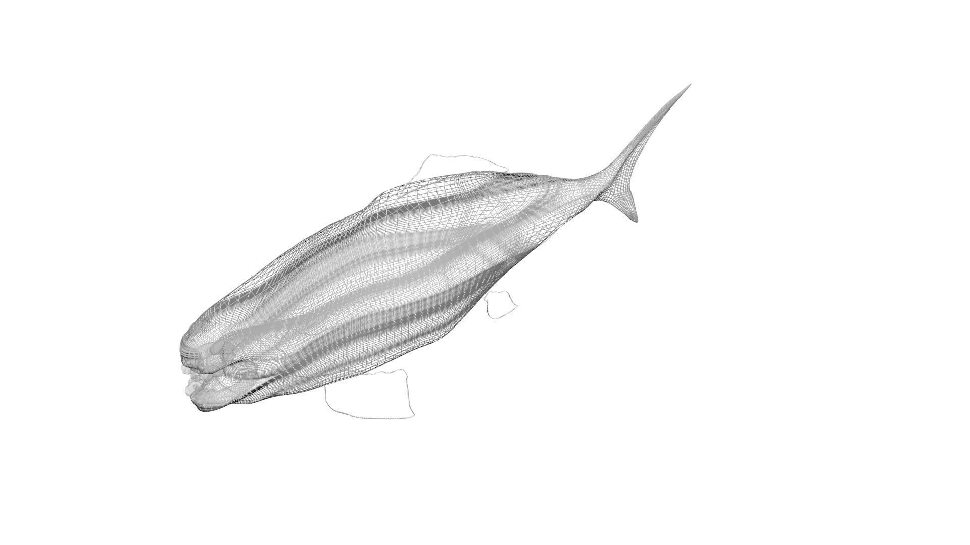 Dunkleosteus 3D model_17