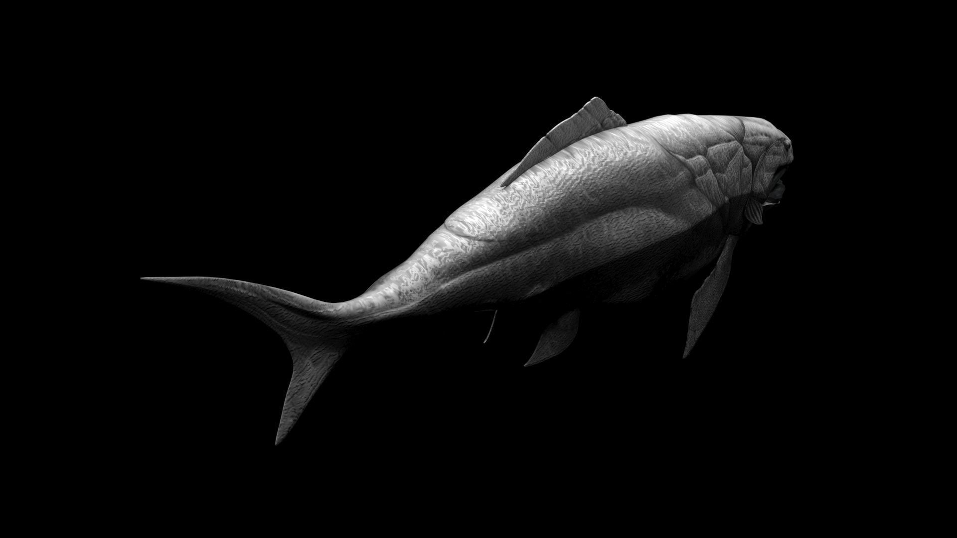 Dunkleosteus 3D model_7