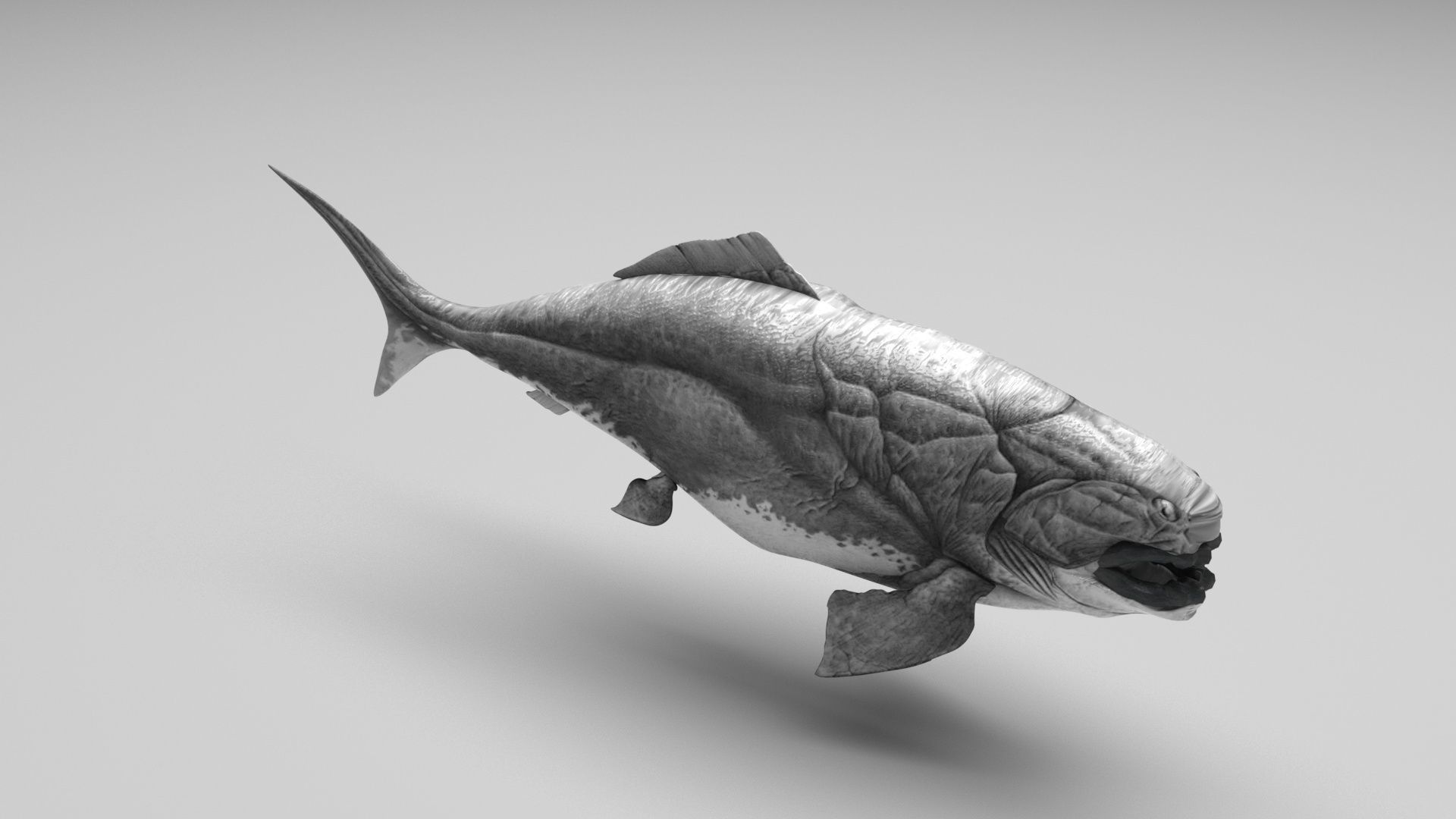 Dunkleosteus 3D model_1