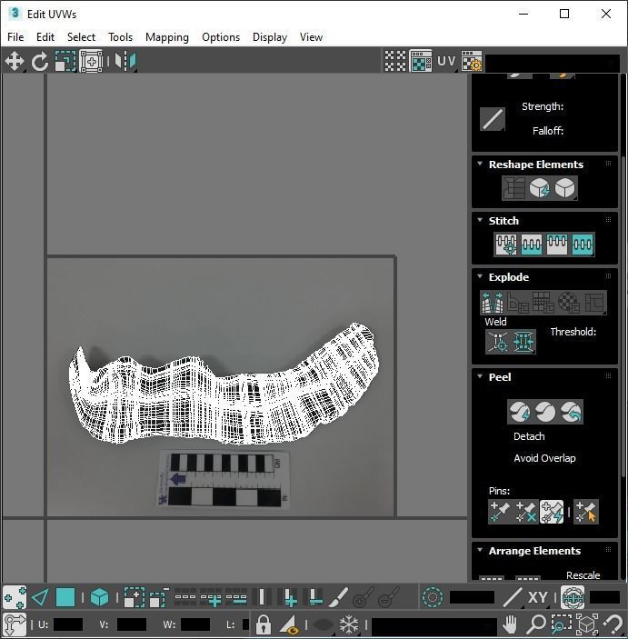 Dunkleosteus 3D model_24