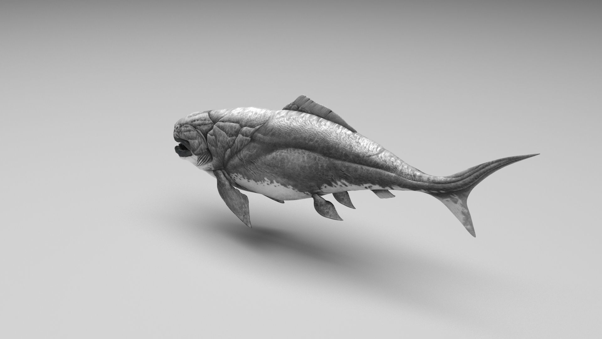 Dunkleosteus 3D model_3