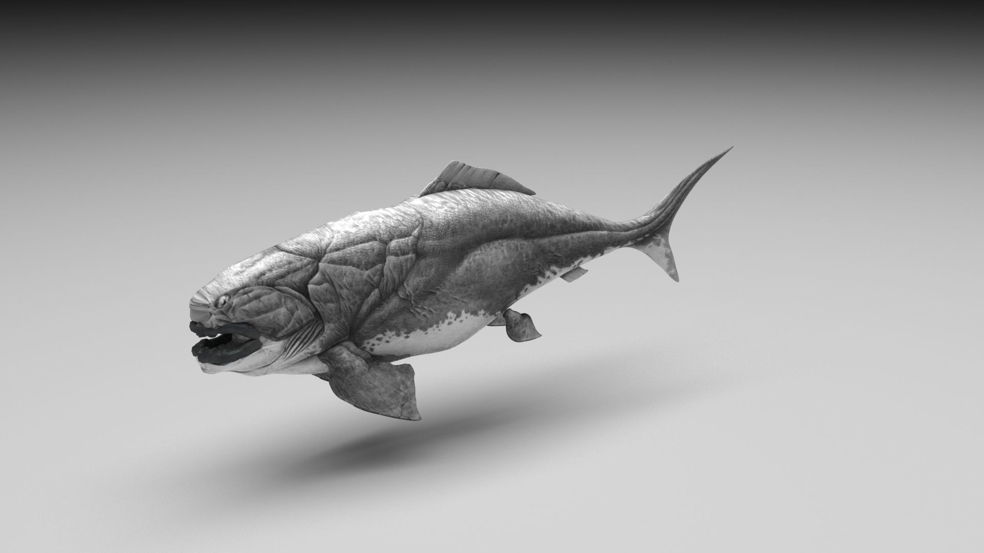 Dunkleosteus 3D model_2