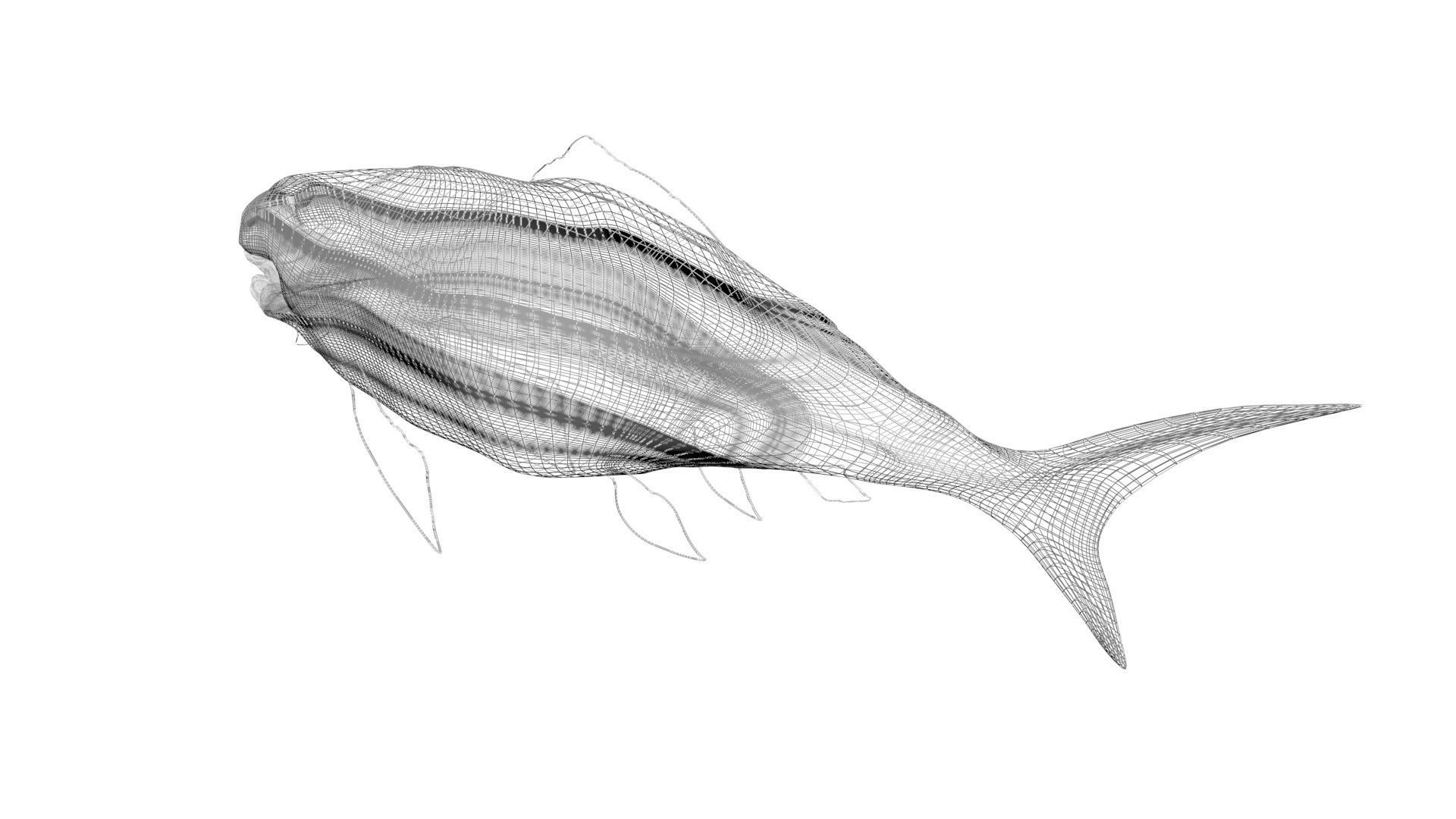 Dunkleosteus 3D model_18