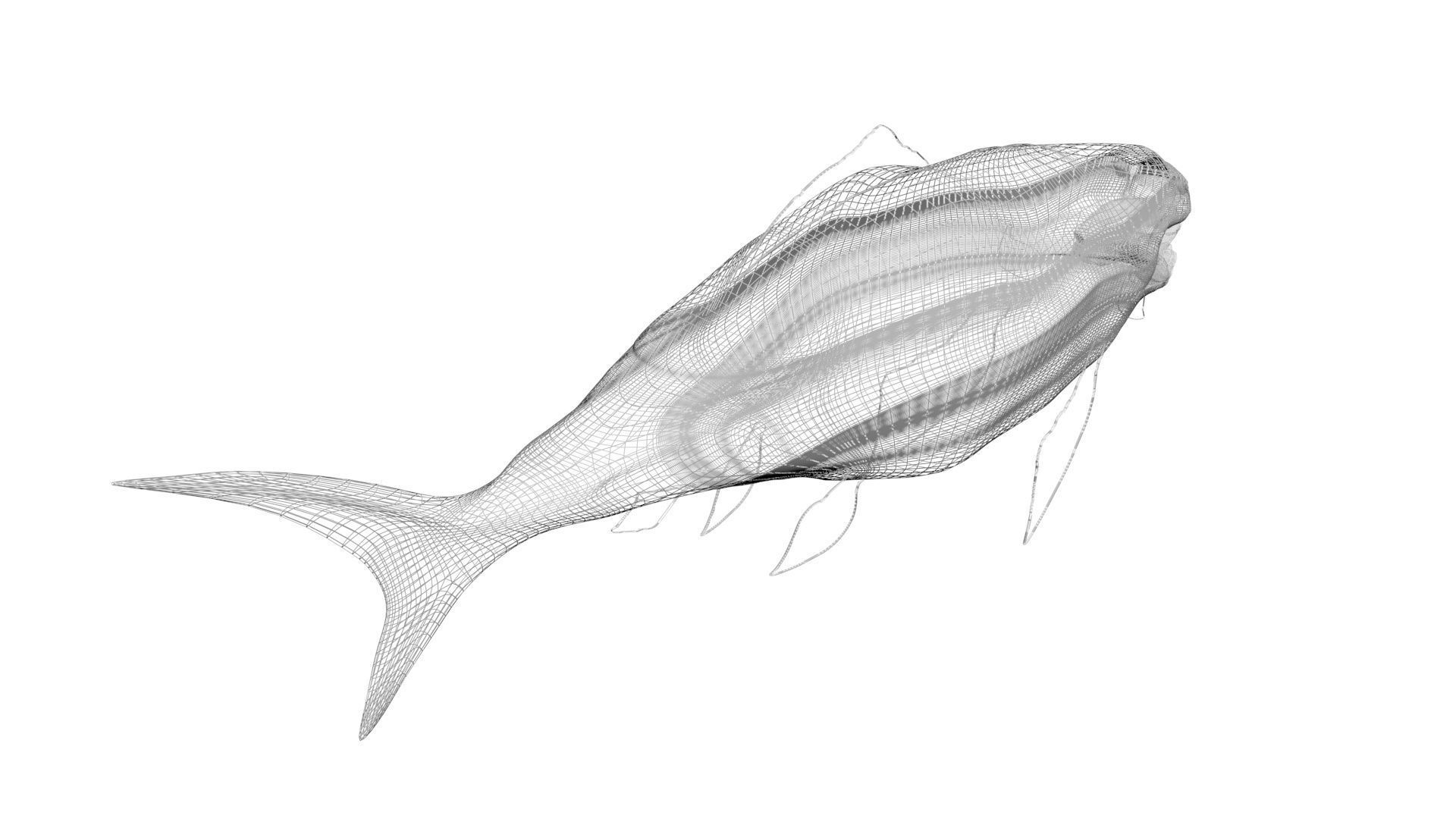 Dunkleosteus 3D model_15