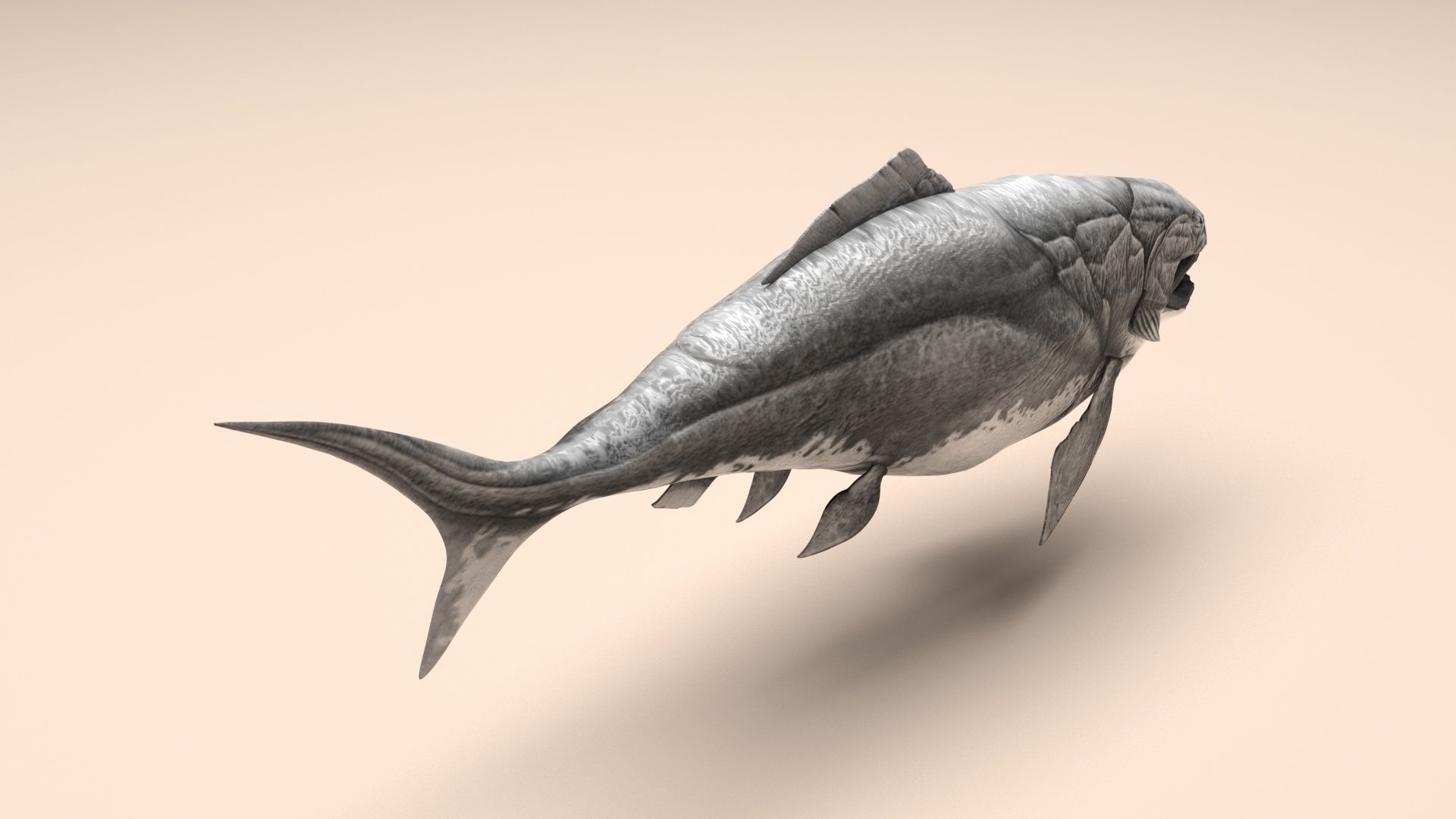 Dunkleosteus 3D model_6