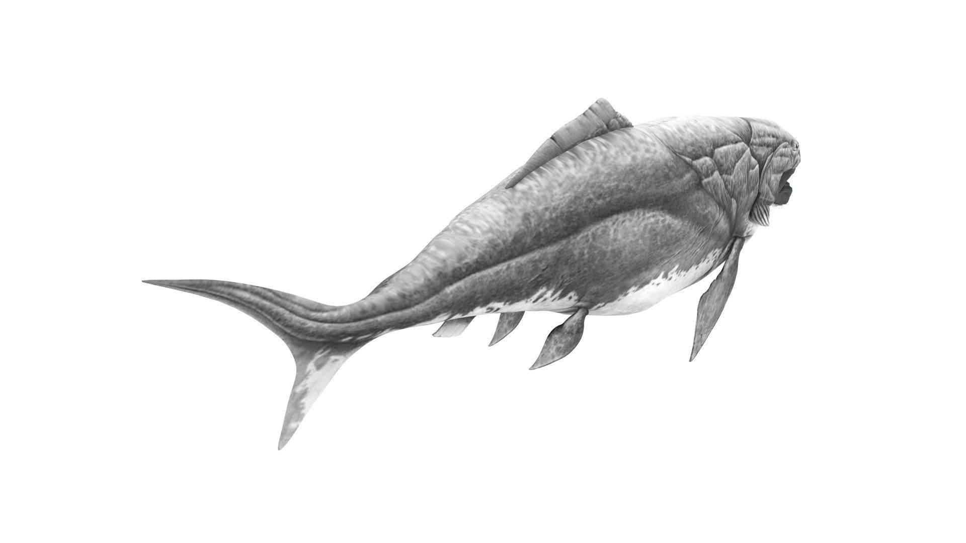 Dunkleosteus 3D model_8