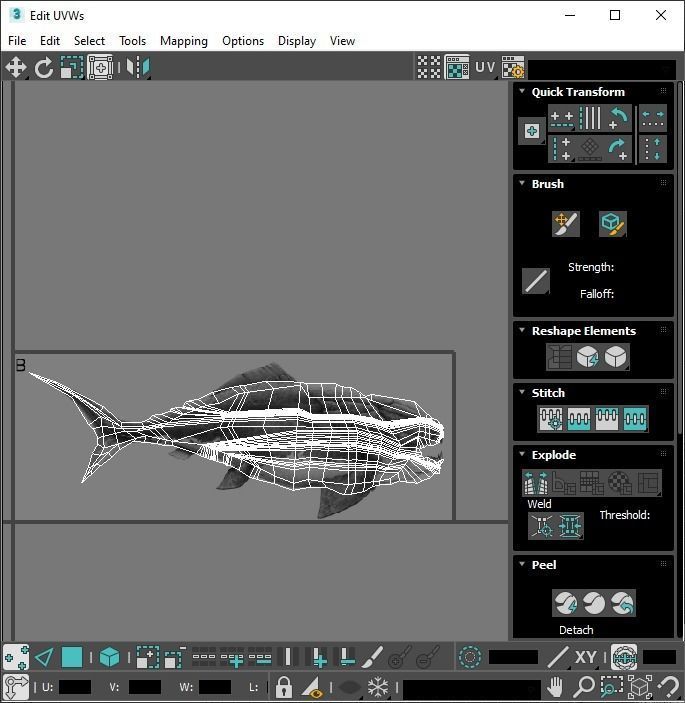 Dunkleosteus 3D model_21