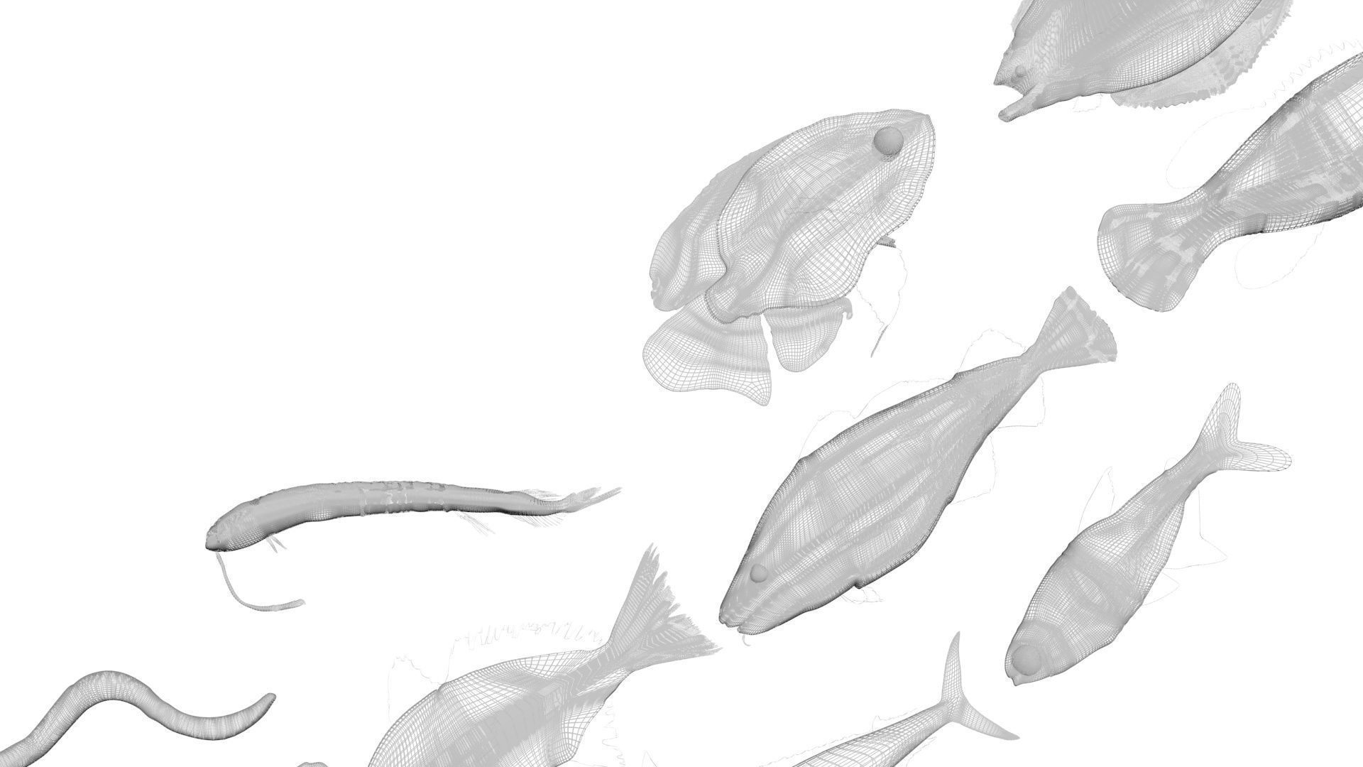 Fishes Set 3D model_35