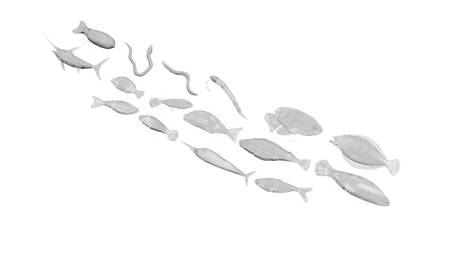 Fishes Set 3D model_29