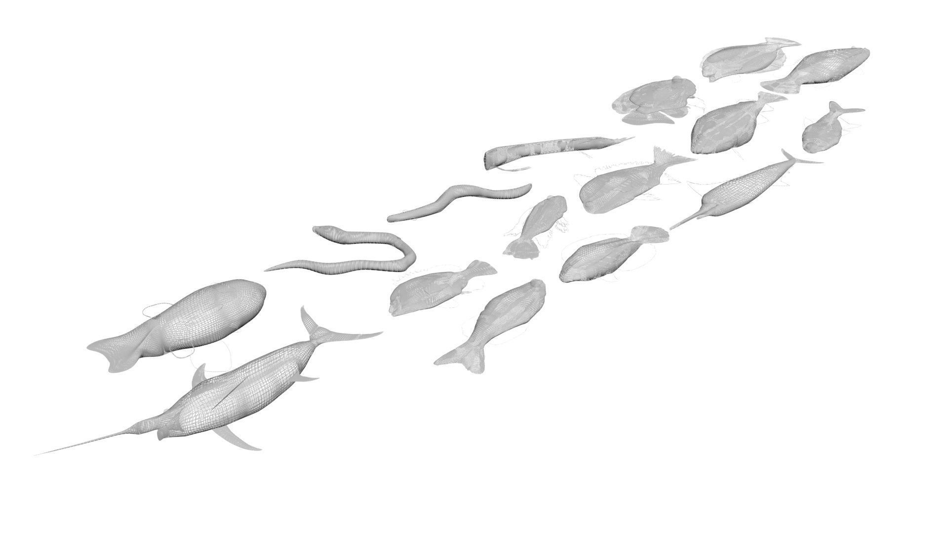 Fishes Set 3D model_28