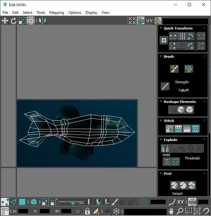 Fishes Set 3D model_51