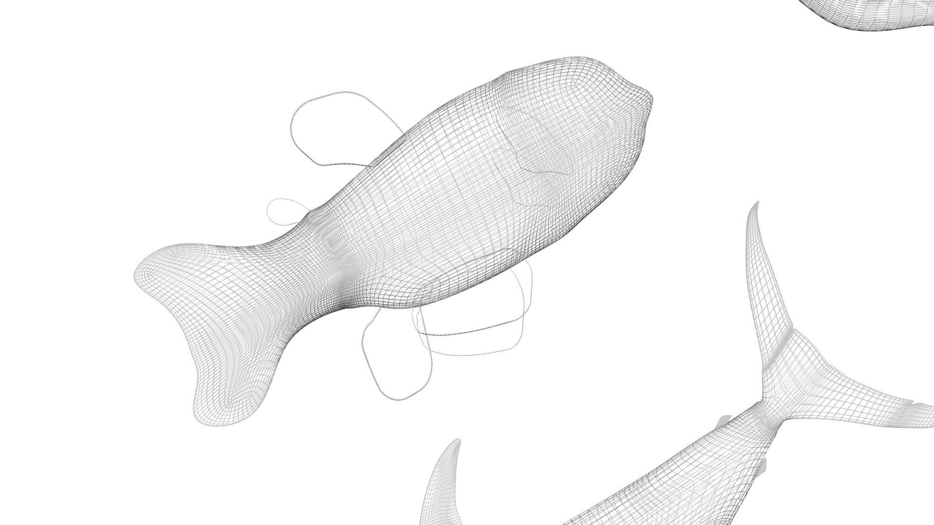 Fishes Set 3D model_33