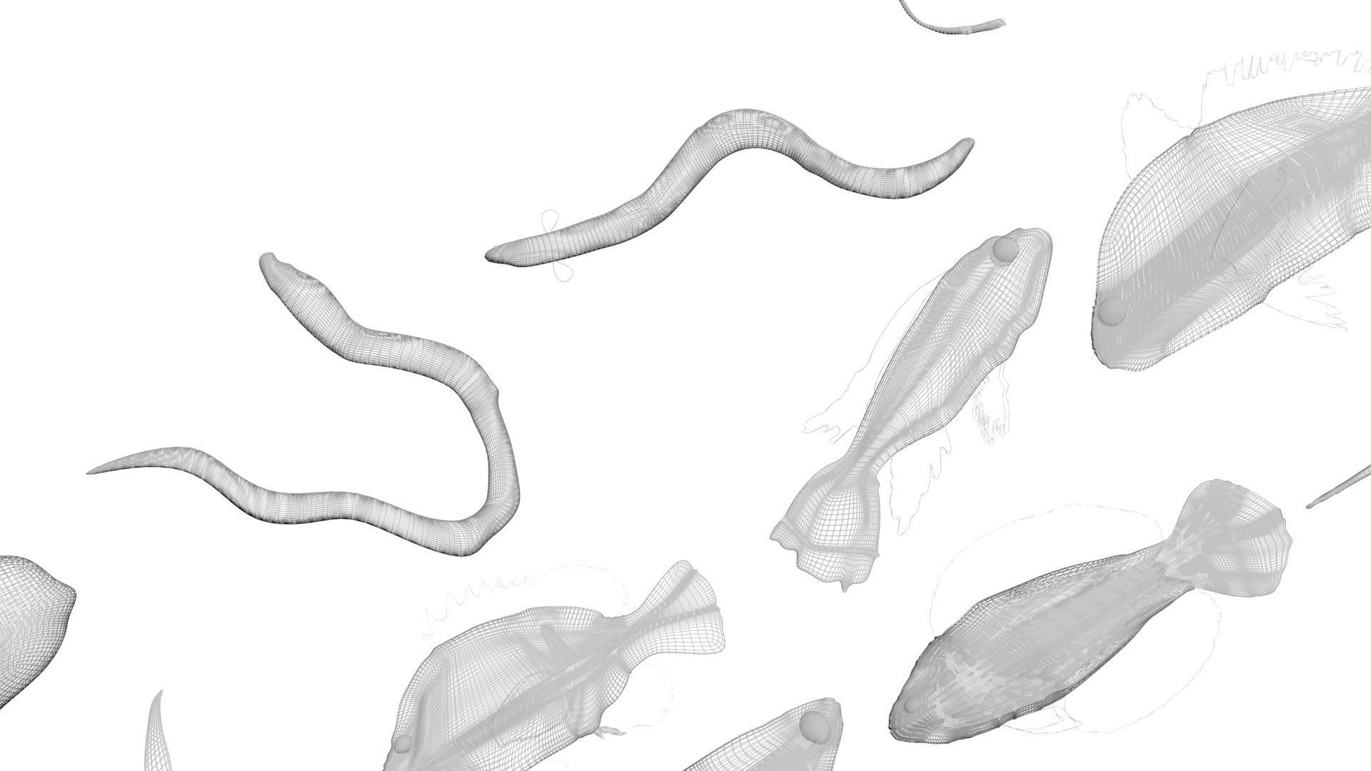 Fishes Set 3D model_34