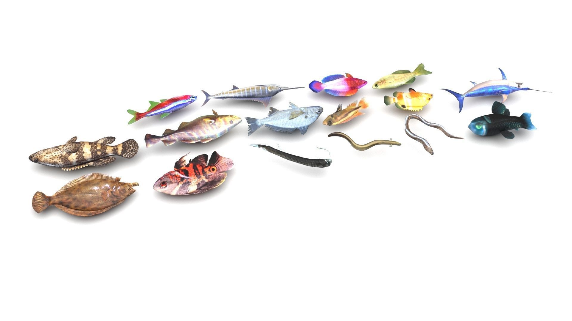 Fishes Set 3D model_2
