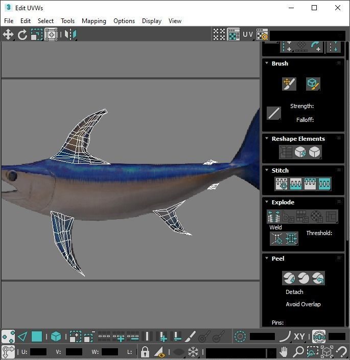 Fishes Set 3D model_48