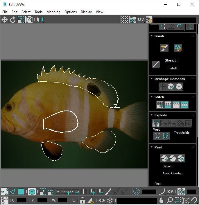 Fishes Set 3D model_53