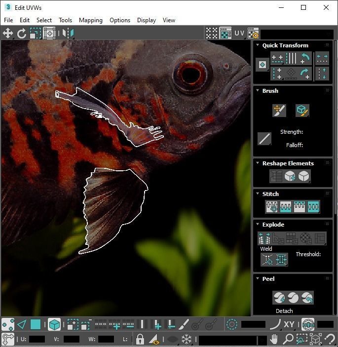 Fishes Set 3D model_72