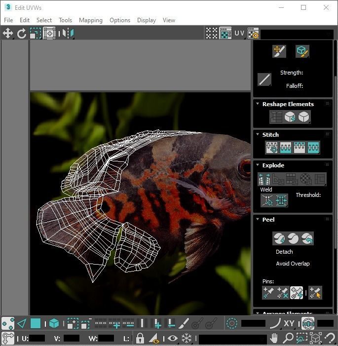 Fishes Set 3D model_71