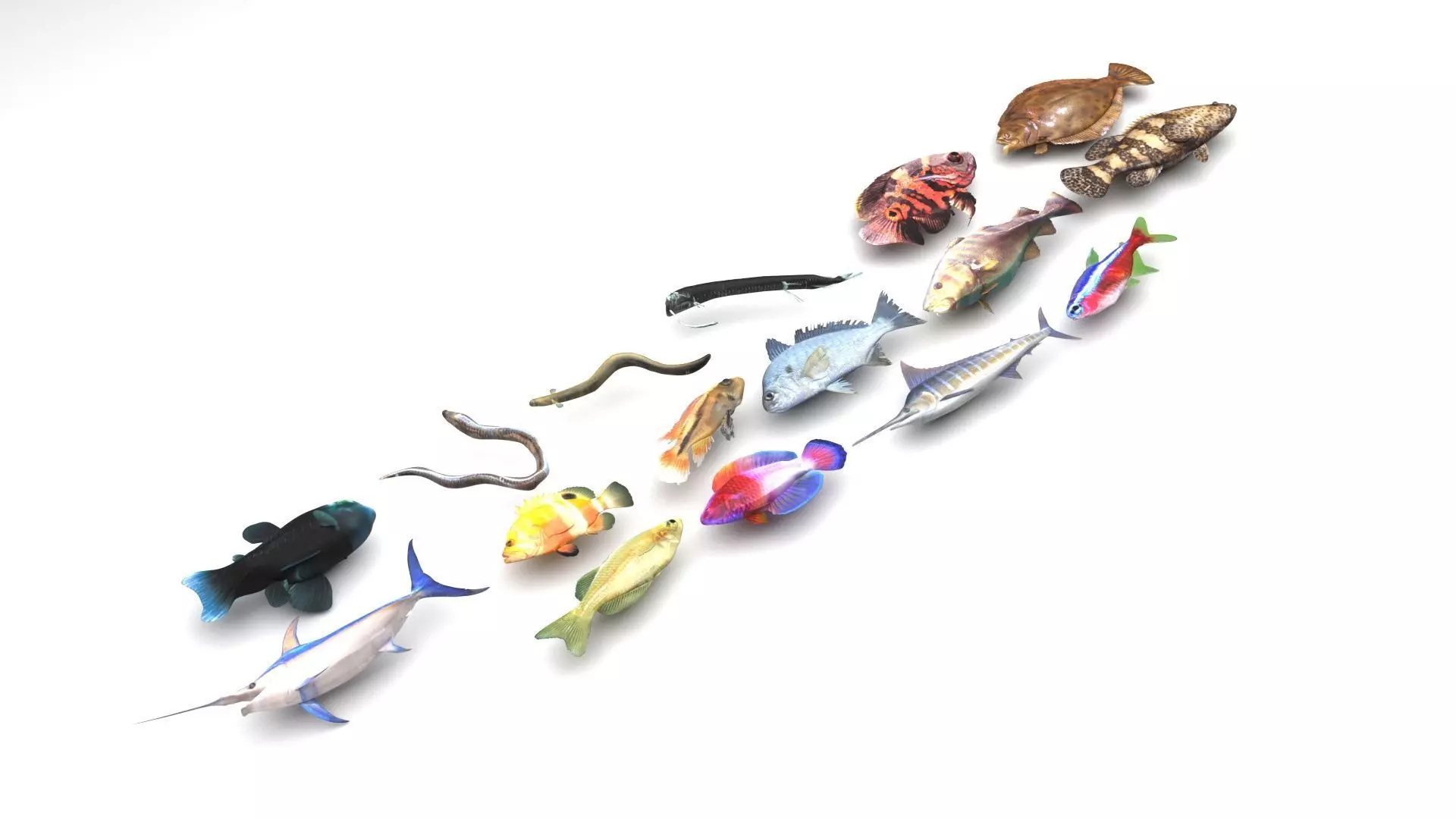 Fishes Set 3D model_0