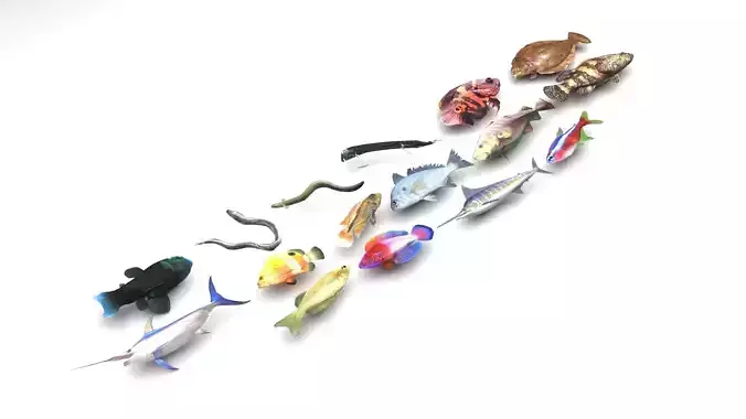 Fishes Set 3D model