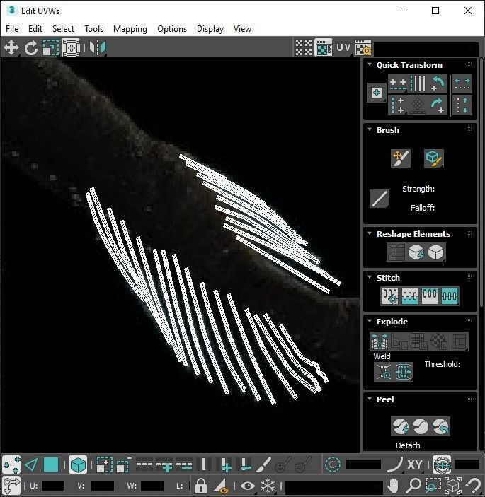 Fishes Set 3D model_69
