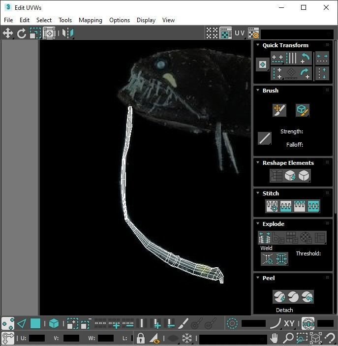 Fishes Set 3D model_65