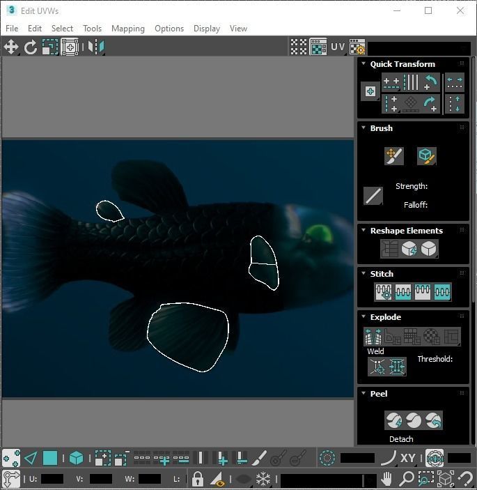 Fishes Set 3D model_55