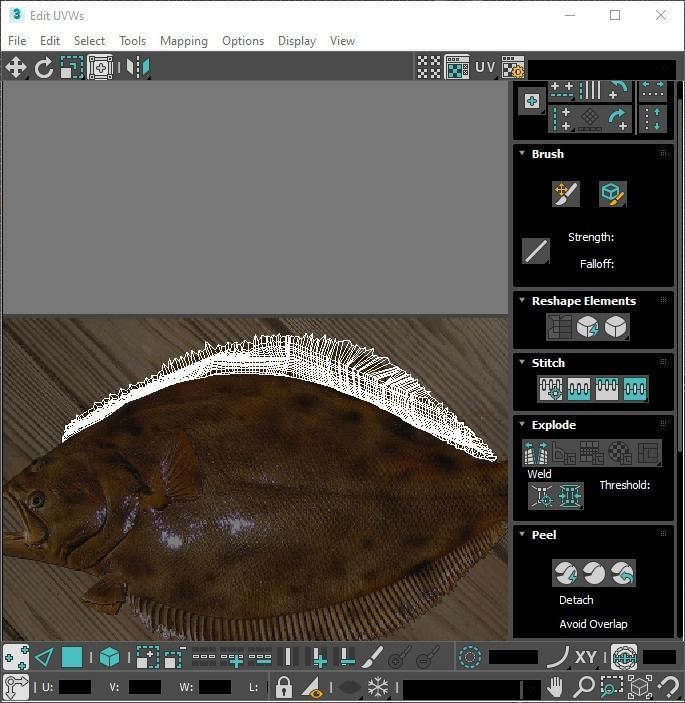 Fishes Set 3D model_49