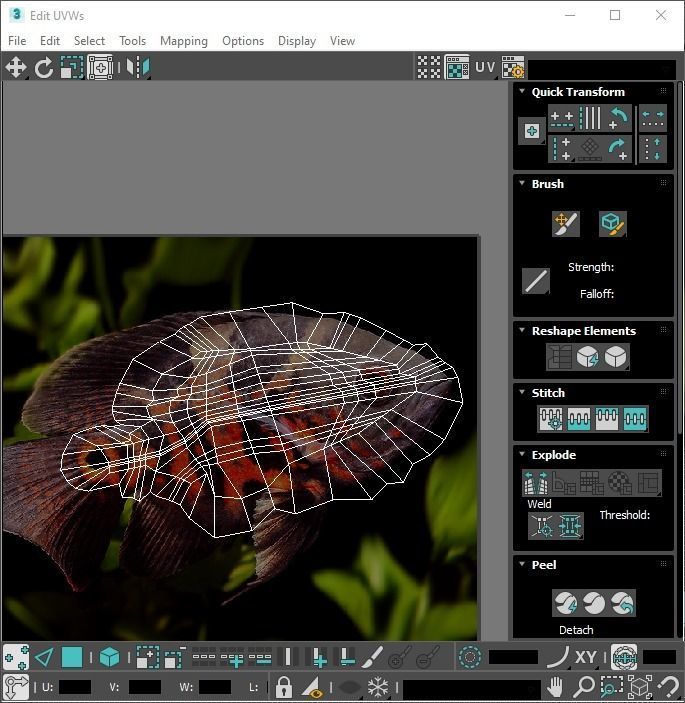 Fishes Set 3D model_64
