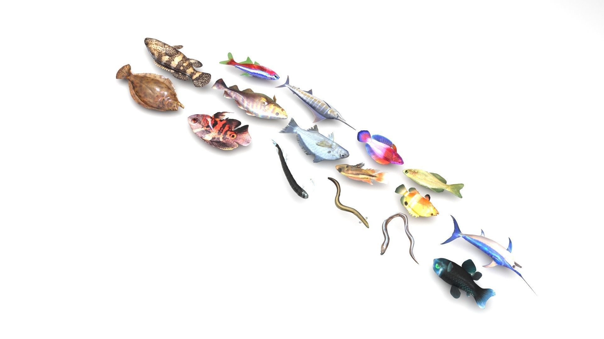 Fishes Set 3D model_3