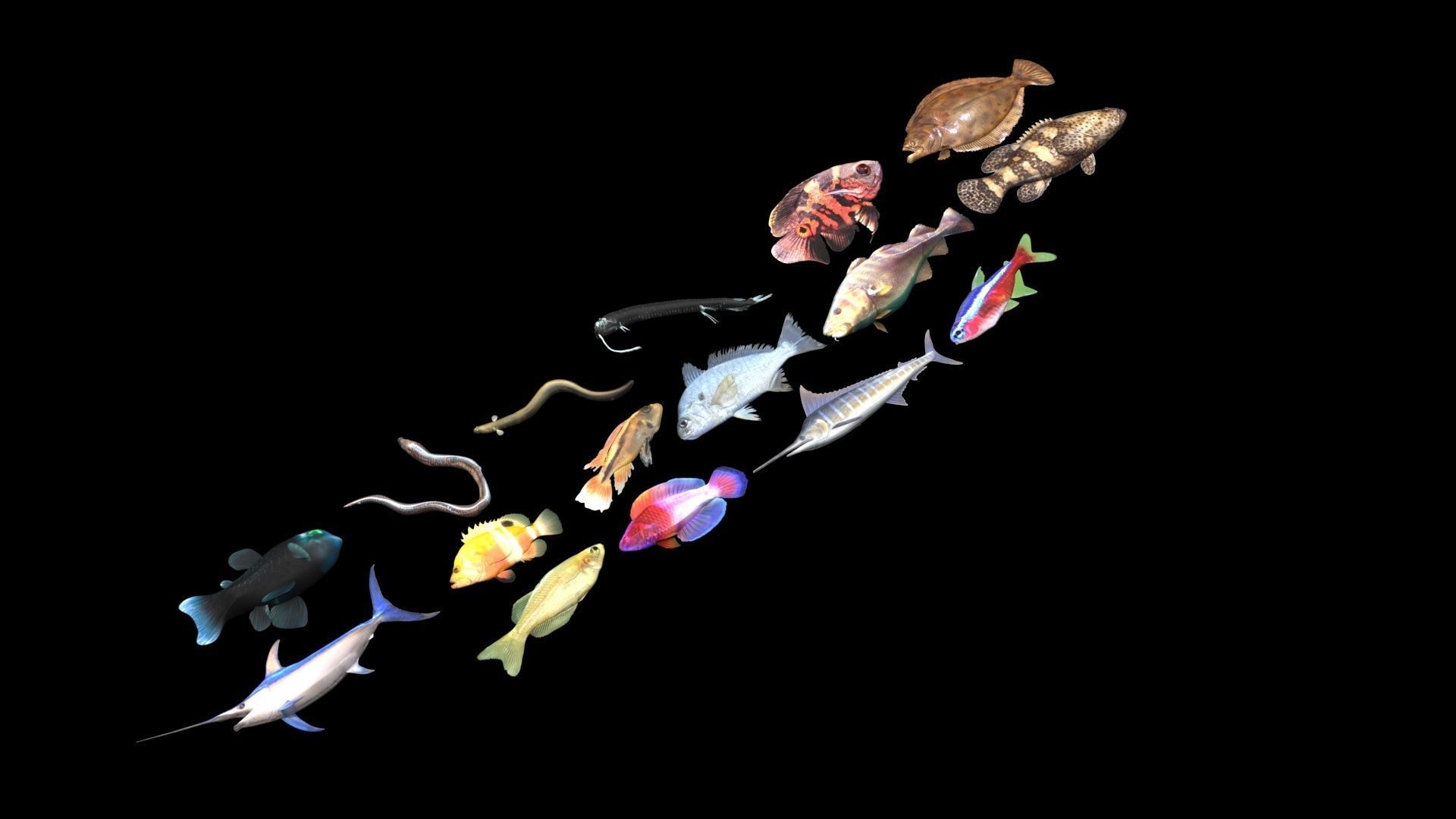 Fishes Set 3D model_20