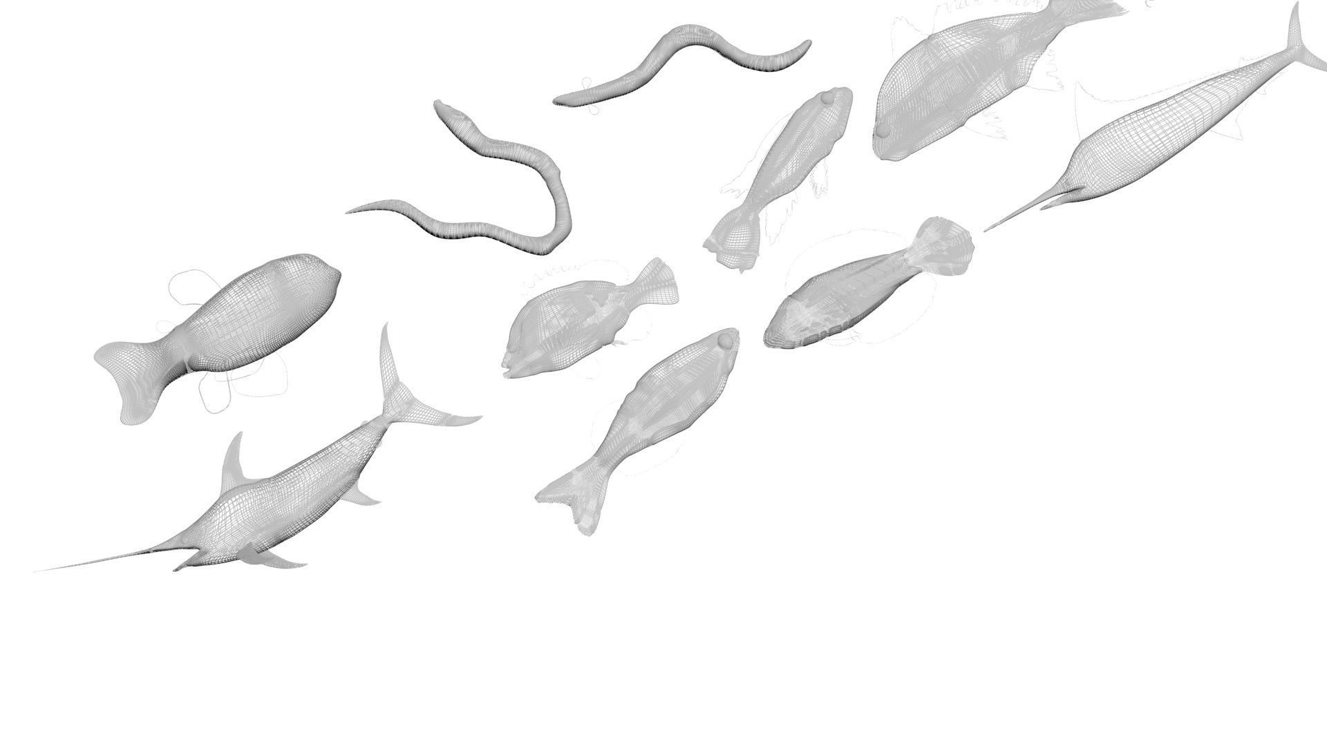 Fishes Set 3D model_38