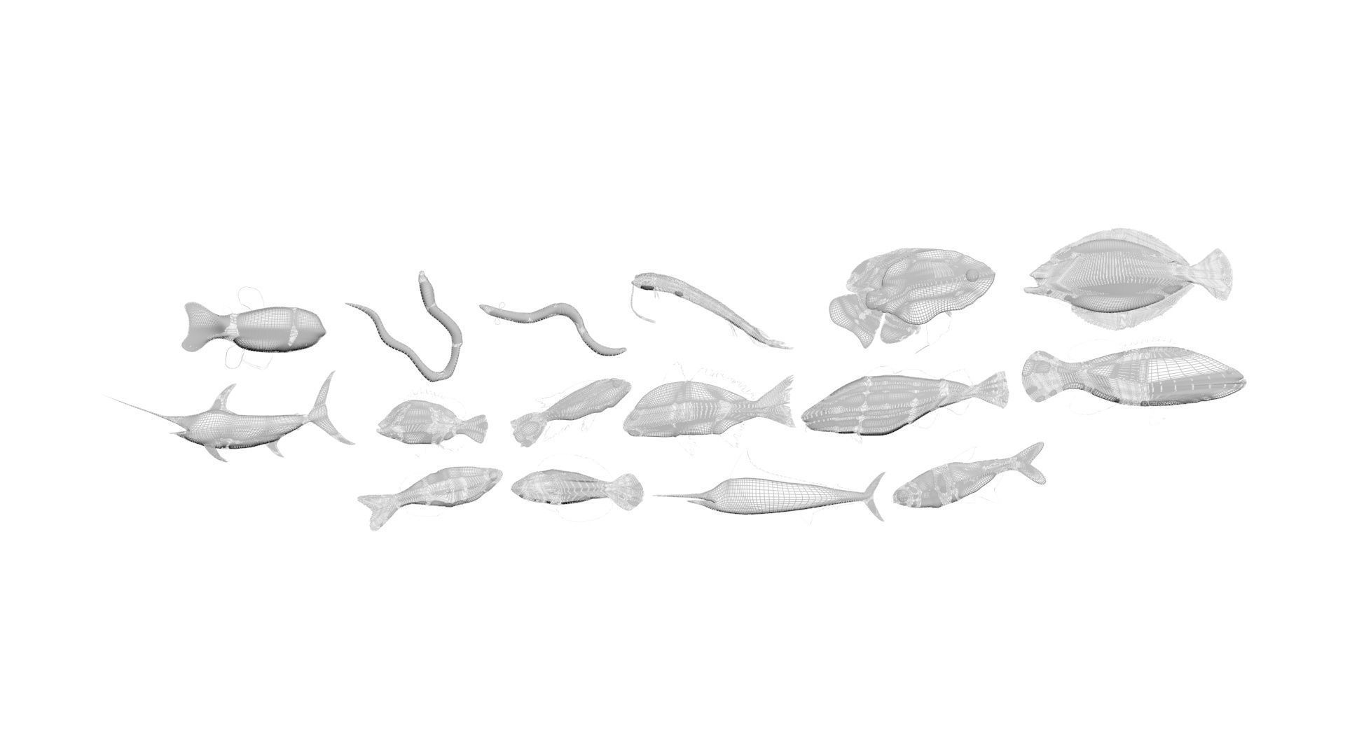 Fishes Set 3D model_39