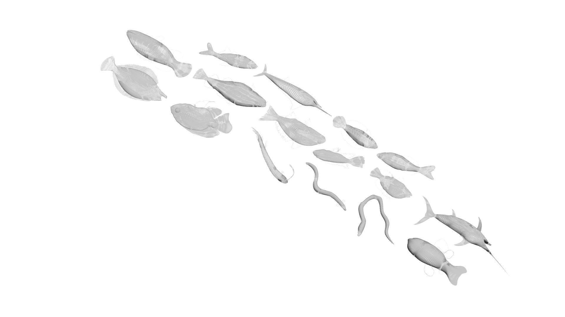 Fishes Set 3D model_31