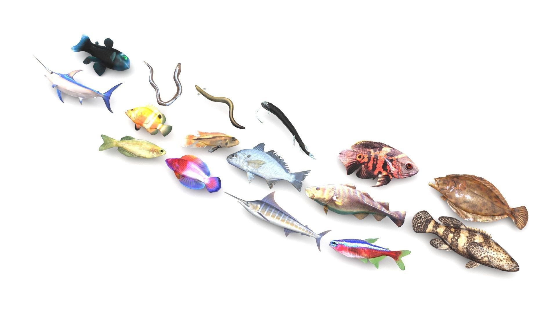 Fishes Set 3D model_1