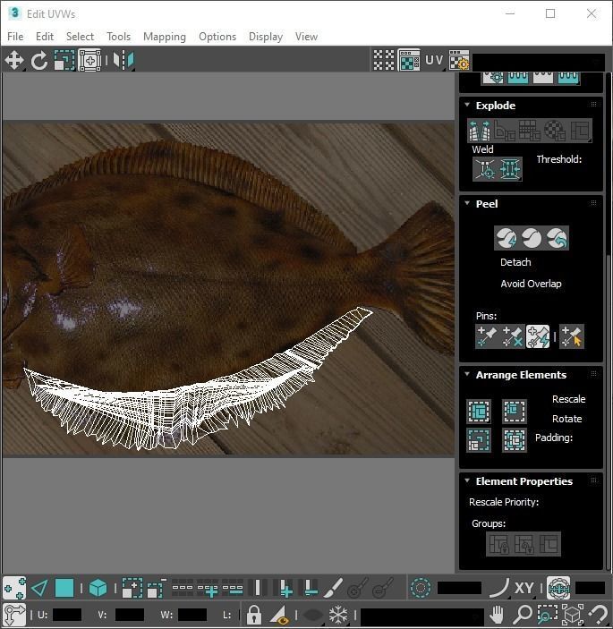 Fishes Set 3D model_47
