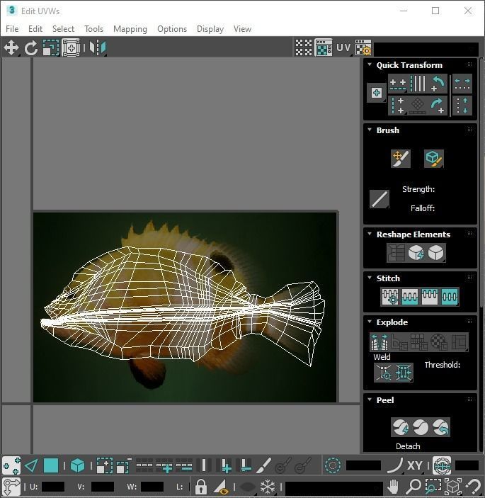Fishes Set 3D model_52